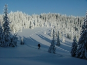 Localnicii şi preotul comunei Horea duc o cruce la locul accidentului aviatic